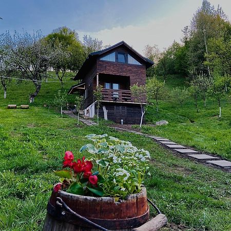 Cabana Gotan Moisei Zewnętrze zdjęcie